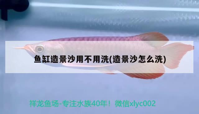 资中卖鱼缸在什么地方卖的多一点：资阳卖鱼缸的地方在哪里 养鱼的好处 第2张