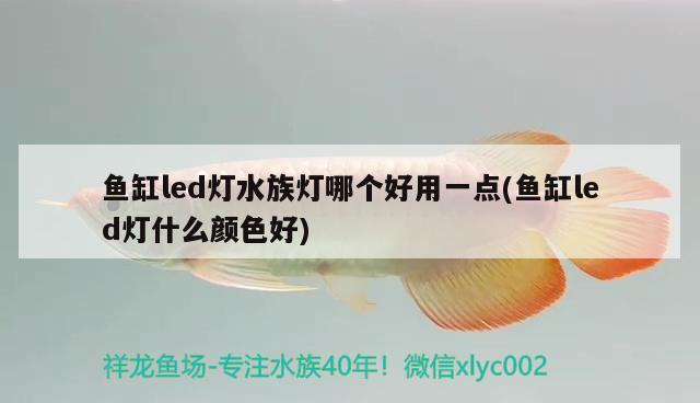 鱼缸led灯水族灯哪个好用一点(鱼缸led灯什么颜色好) 南美异型鱼