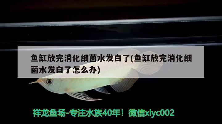 临汾哪里有卖鱼缸的店铺啊多少钱：临汾鱼缸批发市场在哪里 养鱼的好处 第1张