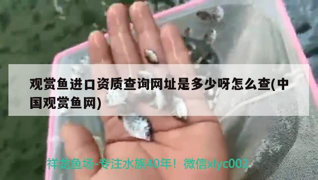 孔雀鱼，白点病，怎么能快点好，孔雀鱼身上烂了，白色的怎么治