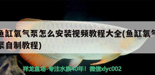 鱼缸氧气泵怎么安装视频教程大全(鱼缸氧气泵自制教程)