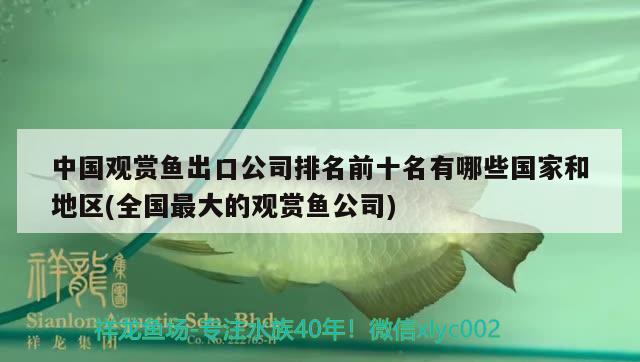 中国观赏鱼出口公司排名前十名有哪些国家和地区(全国最大的观赏鱼公司)