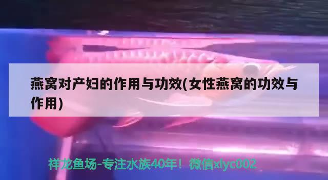 燕窝对产妇的作用与功效(女性燕窝的功效与作用) 马来西亚燕窝