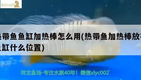 新鱼缸内壁水垢清除妙招：新鱼缸水里有沫子怎么回事 观赏鱼市场 第3张