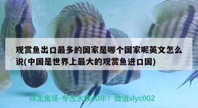 观赏鱼出口最多的国家是哪个国家呢英文怎么说(中国是世界上最大的观赏鱼进口国) 观赏鱼进出口