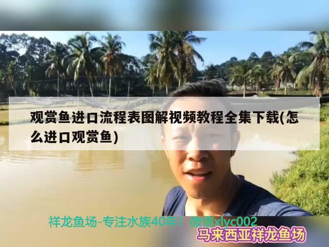 观赏鱼进口流程表图解视频教程全集下载(怎么进口观赏鱼)