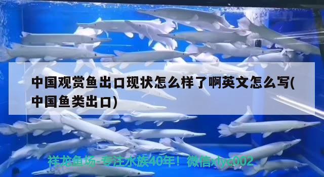 鱼缸除藻最佳方法加盐多少：鱼缸除藻最佳方法加盐多少克