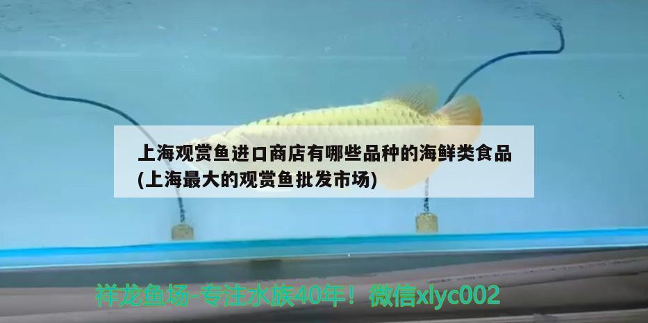 上海观赏鱼进口商店有哪些品种的海鲜类食品(上海最大的观赏鱼批发市场) 观赏鱼进出口