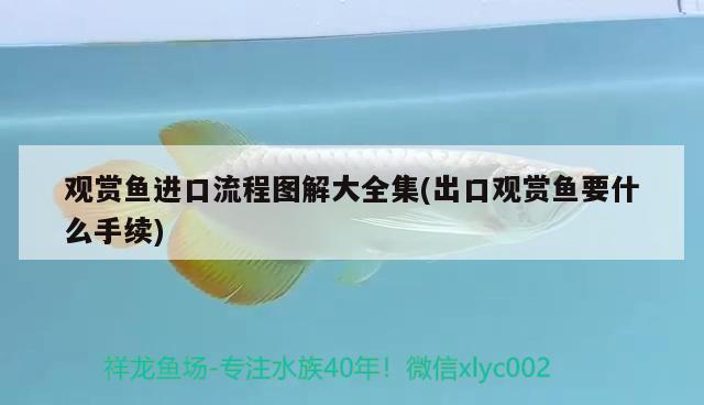 阳泉二手鱼缸转让58同城电话地址及电话：请问房屋各方位不行属性,请帮忙解答以下问题：我这个户型北阳台的西北角,按整个房间来说算不算西北乾位 养鱼的好处 第2张