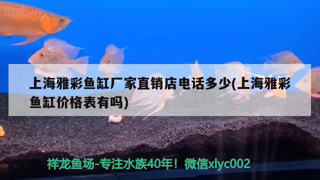 上海雅彩鱼缸厂家直销店电话多少(上海雅彩鱼缸价格表有吗) 广州龙鱼批发市场