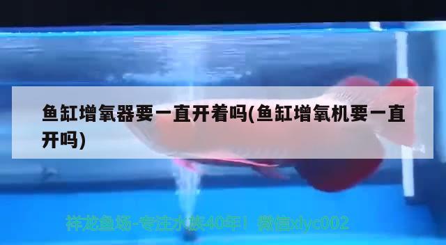 安阳水族批发市场都在哪里？（安阳市水族批发市场）