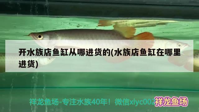 开水族店鱼缸从哪进货的(水族店鱼缸在哪里进货)