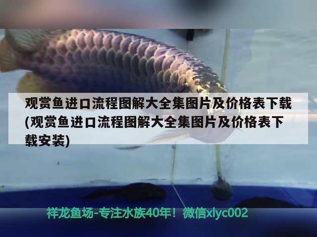 广州水族馆红龙鱼异常江湖救急 斯维尼关刀鱼 第2张