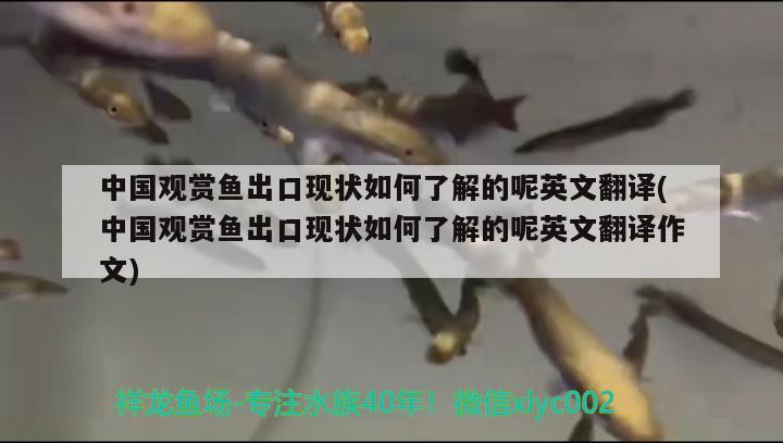 中国观赏鱼出口现状如何了解的呢英文翻译(中国观赏鱼出口现状如何了解的呢英文翻译作文)