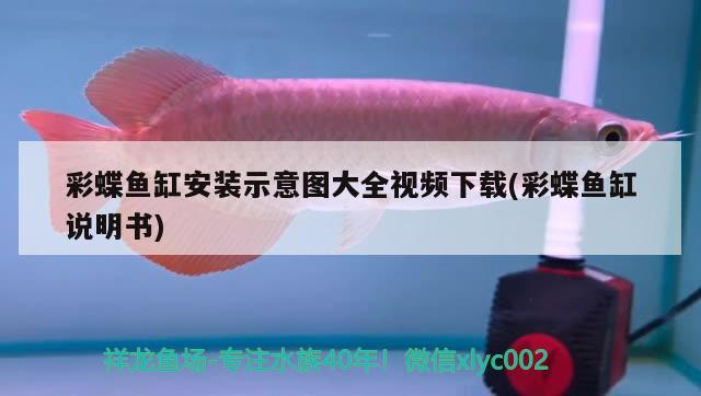 彩蝶鱼缸安装示意图大全视频下载(彩蝶鱼缸说明书) 水族世界