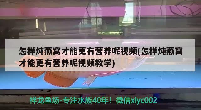 怎样炖燕窝才能更有营养呢视频(怎样炖燕窝才能更有营养呢视频教学) 马来西亚燕窝 第3张