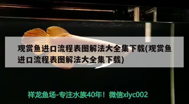 观赏鱼进口流程表图解法大全集下载(观赏鱼进口流程表图解法大全集下载)