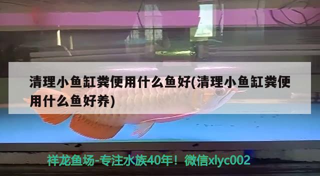 呼和浩特鱼缸定做店哪家好点？，呼和浩特鱼缸定做店哪家好呼和浩特鱼缸定做店哪家好