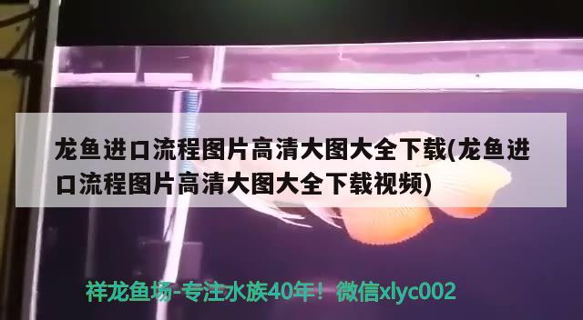 沈阳鱼缸维修电话号码查询沈阳鱼缸维修电话号码是多少号啊，沈阳鱼缸维修电话号码是多少号啊 养鱼知识 第2张