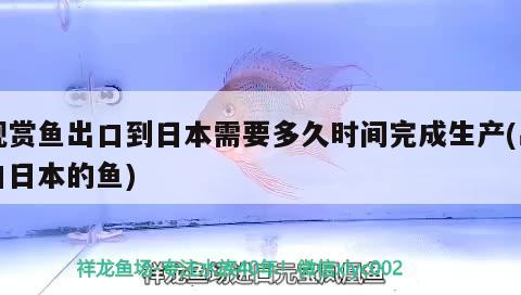 观赏鱼出口到日本需要多久时间完成生产(出口日本的鱼)