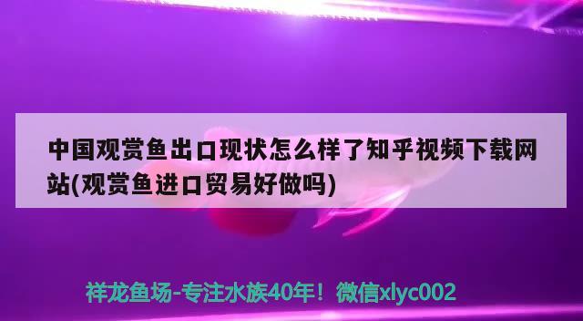 中国观赏鱼出口现状怎么样了知乎视频下载网站(观赏鱼进口贸易好做吗)