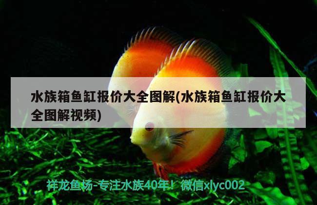 水族箱鱼缸报价大全图解(水族箱鱼缸报价大全图解视频) 鱼缸/水族箱