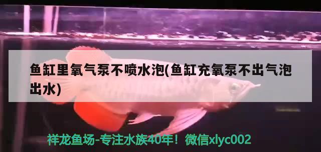 鱼缸里氧气泵不喷水泡(鱼缸充氧泵不出气泡出水)