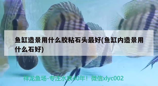 鱼缸上盖自己怎么做(鱼缸上盖自己怎么做视频) 祥龙蓝珀金龙鱼