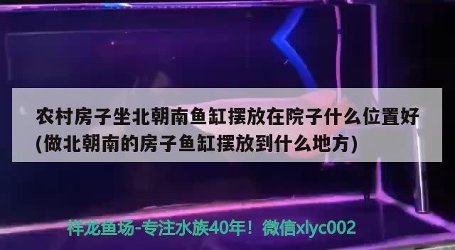 农村房子坐北朝南鱼缸摆放在院子什么位置好(做北朝南的房子鱼缸摆放到什么地方)