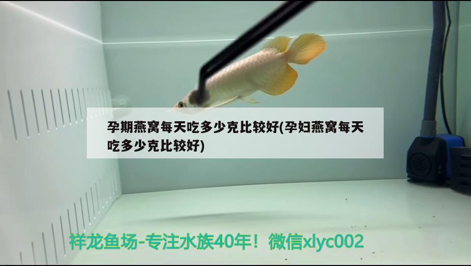 陇南水族批发市场在哪里啊多少钱（陇南水产养殖基地） 养鱼知识 第3张