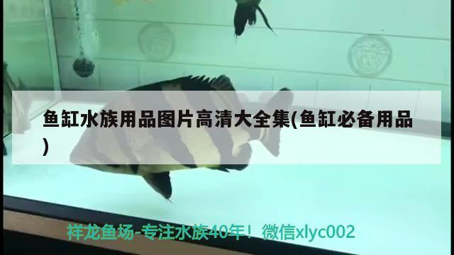 鱼缸水族用品图片高清大全集(鱼缸必备用品)