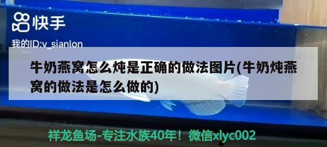 牛奶燕窝怎么炖是正确的做法图片(牛奶炖燕窝的做法是怎么做的) 马来西亚燕窝