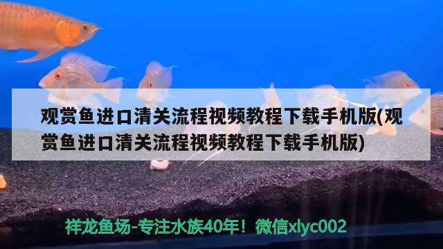 观赏鱼进口清关流程视频教程下载手机版(观赏鱼进口清关流程视频教程下载手机版)