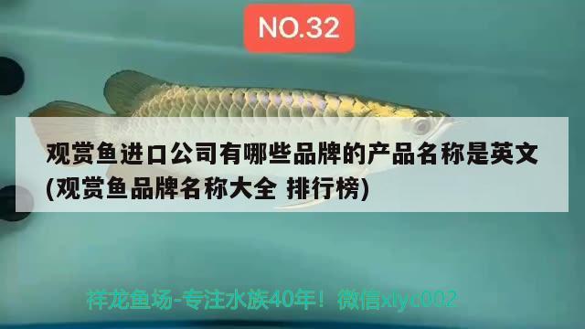 娄底鱼缸哪里买的到啊？娄底鱼缸多少钱？宠物店市场网购平台鱼缸价格，娄底鱼缸哪里买娄底鱼缸多少钱宠物店市场网购平台鱼缸价格