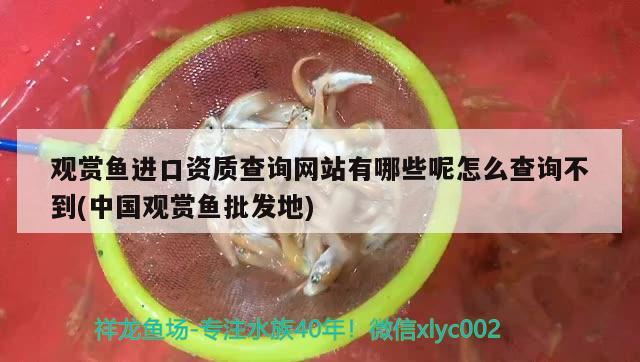 观赏鱼进口资质查询网站有哪些呢怎么查询不到(中国观赏鱼批发地)