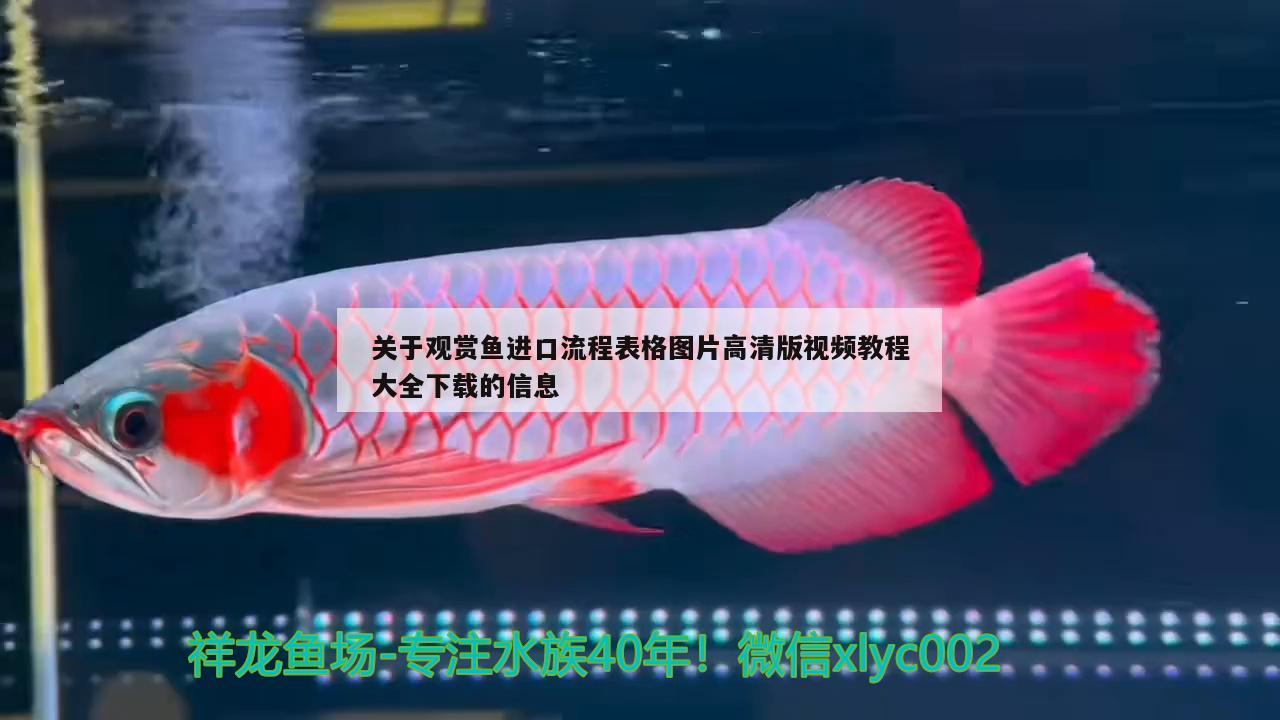 关于观赏鱼进口流程表格图片高清版视频教程大全下载的信息