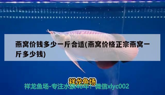 燕窝价钱多少一斤合适(燕窝价格正宗燕窝一斤多少钱) 马来西亚燕窝