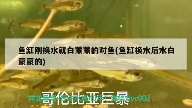 海口水族批发市场在哪里啊（海口水族批发市场在哪里啊电话）