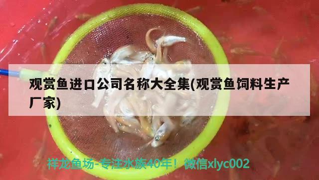 二手鱼缸如何消毒杀菌（二手鱼缸消毒要多长时间） 彩鲽鱼缸（彩蝶鱼缸） 第2张