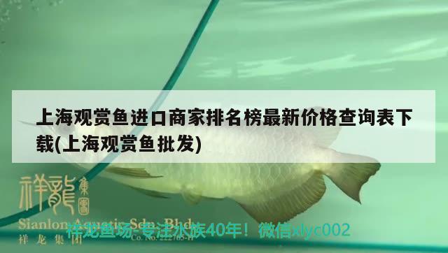 上海观赏鱼进口商家排名榜最新价格查询表下载(上海观赏鱼批发) 观赏鱼进出口