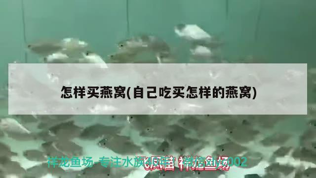 鱼缸灯吊架多高合适：鱼缸吊灯吊多高 广州水族批发市场 第1张