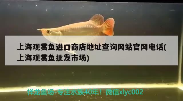 自贡哪里有定制做鱼缸的厂家啊多少钱(云南鱼缸定制) 黄金斑马鱼 第4张