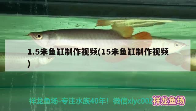 六角恐龙鱼幼体怎么养（六角恐龙鱼喂食规律）