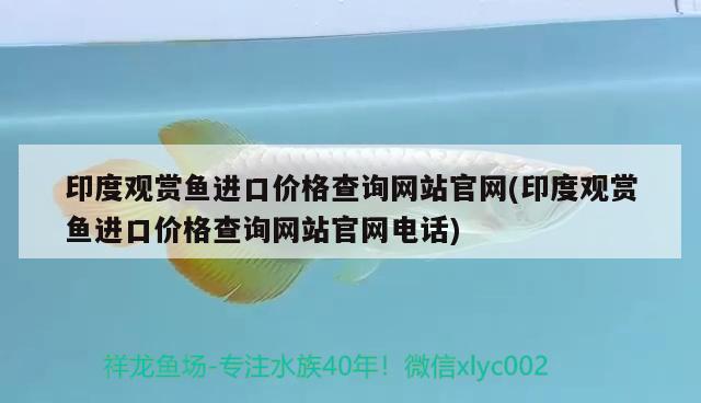 印度观赏鱼进口价格查询网站官网(印度观赏鱼进口价格查询网站官网电话) 观赏鱼进出口