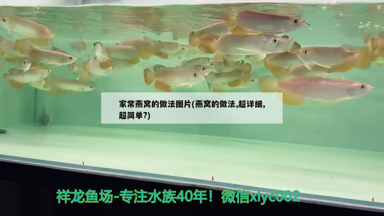 家常燕窝的做法图片(燕窝的做法,超详细,超简单?) 马来西亚燕窝 第2张