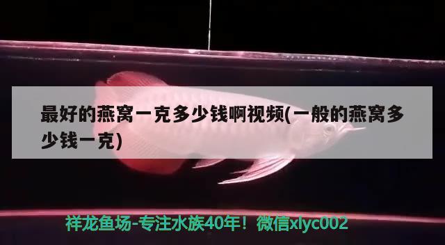 最好的燕窝一克多少钱啊视频(一般的燕窝多少钱一克) 马来西亚燕窝