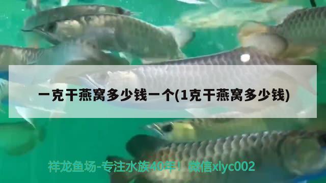 太康县秀明银城花卉店 全国水族馆企业名录