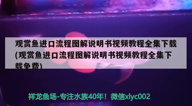 哈尔滨最大观赏鱼市场地址在哪哈尔滨观赏鱼市场特色如何前往，哈尔滨最大观赏鱼市场地址在哪