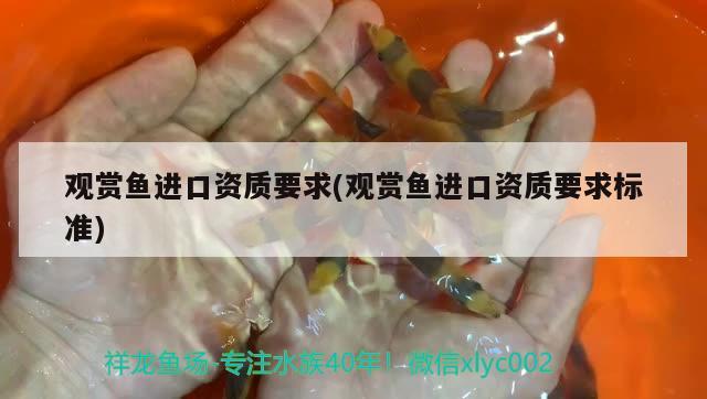 金龙鱼适宜温度多少度：金龙鱼适合温度是多少度 广州水族批发市场 第3张