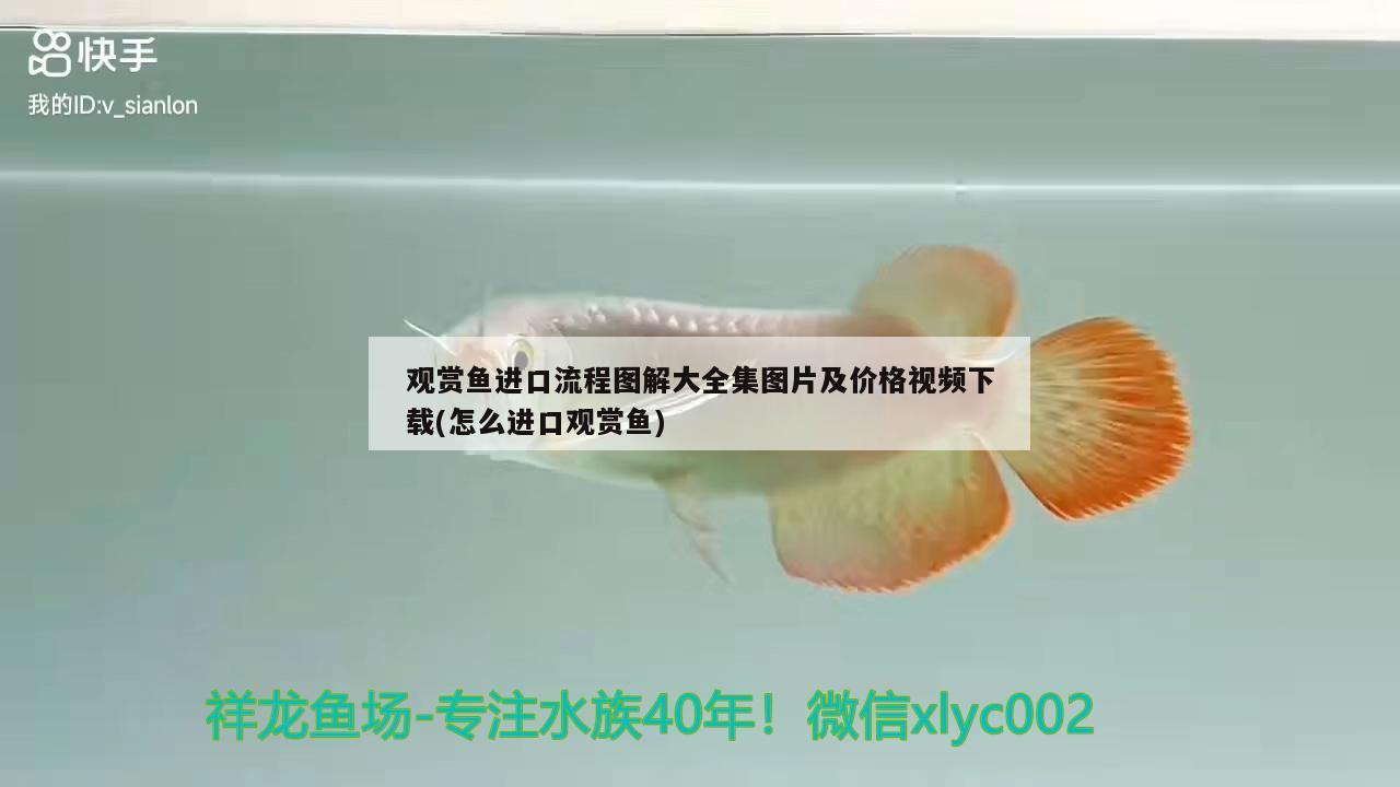 鱼缸方位风水讲究（店铺风水鱼缸的摆放方位） 全国水族馆企业名录 第3张